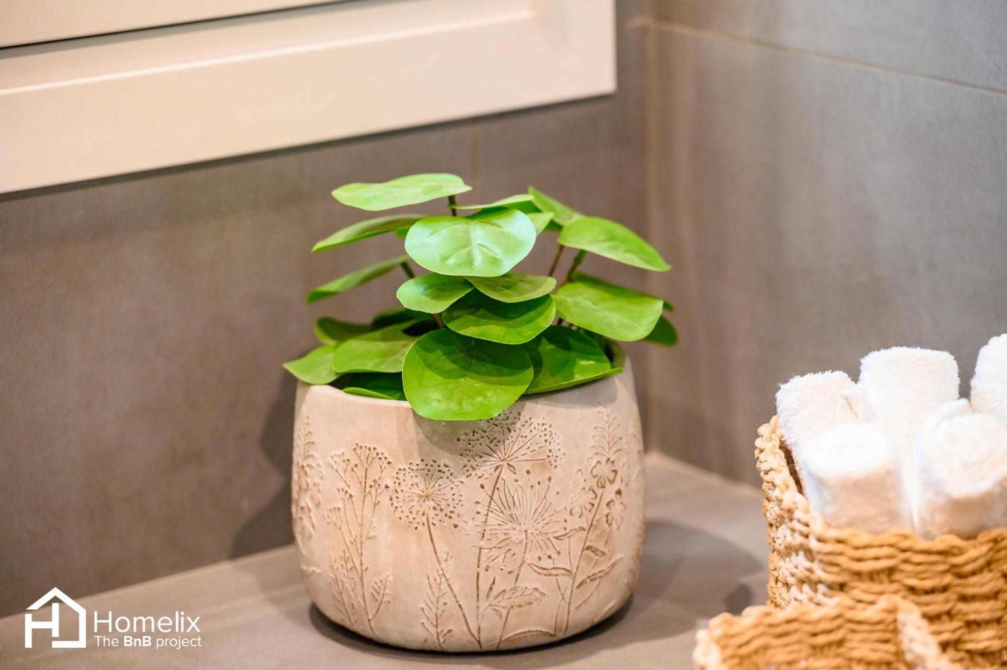 Apartment Citrus Garden Chalkida