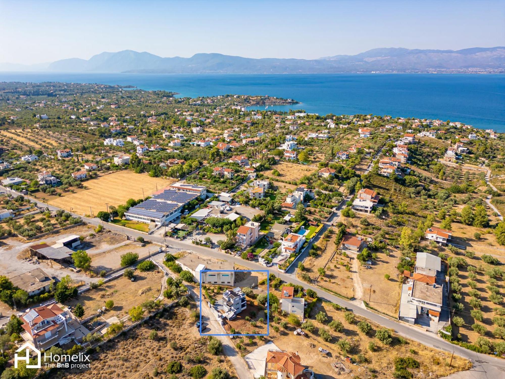 Citrus Garden * Chalkida
